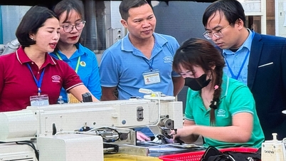 Liberando a criatividade na força de trabalho de Hai Phong.
