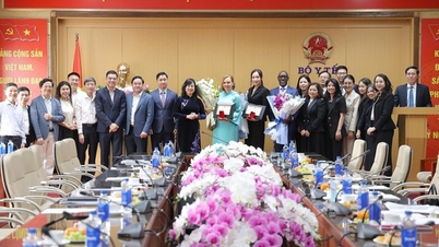 Bộ trưởng Đào Hồng Lan tiếp và làm việc với Chủ tịch khu vực châu Á - Thái Bình Dương của MSD
