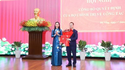 Comrade Nguyen Manh Hung, Deputy Chairman of the Central Inspection Committee, has been appointed to the position of Deputy Secretary of the Da Nang City Party Committee.