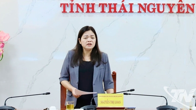 Thai Nguyen usiluje o dosažení cíle 60 000 jednotek sociálního bydlení.