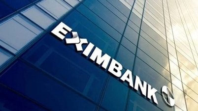 De «hete temaene» på årets Eximbank-aksjonærmøte.