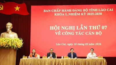 Lao Cai: Realização da 7ª Conferência do Comitê Provincial do Partido.
