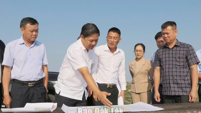 Le secrétaire provincial du Parti, Luong Nguyen Minh Triet, effectue une inspection sur place des projets d'énergie renouvelable dans la province.