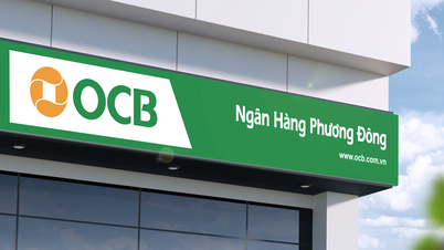 OCB, verimli ve sürdürülebilir büyüme hedeflerine öncelik vermektedir.