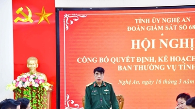 Le Comité permanent du Comité provincial du Parti de Nghe An a annoncé sa décision de superviser les Comités du Parti des communes de Que Phong, Tien Phong et Thong Thu.