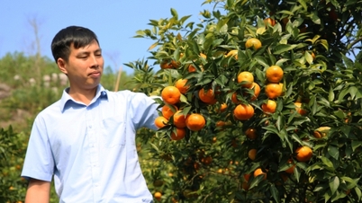 Les jeunes de Quang Ninh sont dynamiques et créent des entreprises tout en développant l'économie.