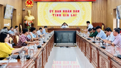 İl Halk Komitesi Daimi Başkan Yardımcısı Nguyen Tuan Thanh, afet bölgelerindeki nüfusun istikrara kavuşturulması projelerinin ilerlemesini değerlendirmek üzere bir toplantıya başkanlık etti.