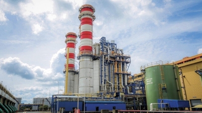 SHS Araştırma: Duc Giang DGC Chemicals, hammadde öz yeterliliğini kaybetme riskiyle karşı karşıya.