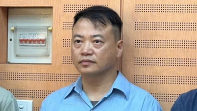 শার্ক বিন ১.৩ ট্রিলিয়ন VND জড়িত মিস্টার পিপস জালিয়াতি মামলায় অর্থ পাচারে যুক্ত ছিল।