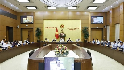 Постоянный комитет Национального собрания выносит заключение по Закону о регистрации актов гражданского состояния (с изменениями) и Закону о столице (с изменениями).