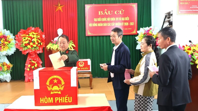 Quang Tri: Announcement of the list of elected representatives to the Provincial People's Council for the 2026-2031 term.