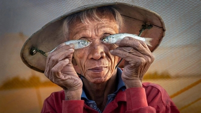 Le portrait d'un pêcheur de Hoi An remporte un prix britannique de photographie.
