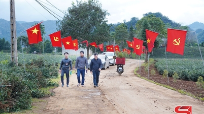 Het partijcomité van de gemeente Binh Thuan intensiveert de inspanningen om nieuwe plattelandsgebieden te ontwikkelen.