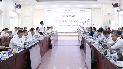 EVNNPT and EVNNPC are collaborating on investments to meet the increasing electricity demand in the North.