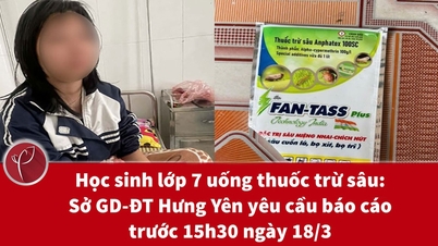 សិស្សថ្នាក់ទីប្រាំពីរផឹកថ្នាំសម្លាប់សត្វល្អិត៖ មន្ទីរអប់រំ និងបណ្តុះបណ្តាលខេត្តហ៊ុងយ៉េនស្នើសុំរាយការណ៍មុនម៉ោង ៣:៣០ រសៀល ថ្ងៃទី ១៨ ខែមីនា។