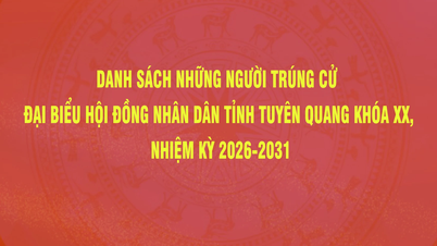 Lista över valda representanter till Tuyen Quangs provinsiella folkråd, 20:e mandatperioden, 2026-2031