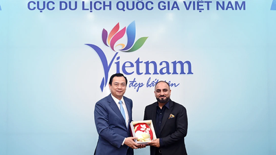 Boosting international tourists' spending during their trips to Vietnam.