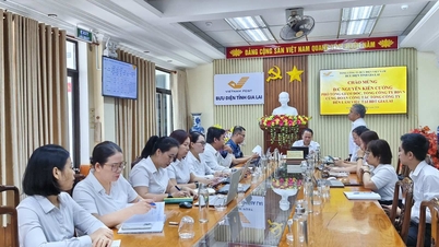 המשלחת מתאגיד הדואר של וייטנאם עבדה עם סניף הדואר המחוזי ג'יה לאי.
