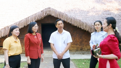 Inspection et enquête sur l'organisation du Festival de la noix de cajou dorée de la province de Dong Nai en 2026.