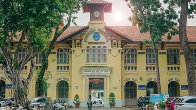 Ho Chi Minh şehrindeki çok sayıda üniversite ve kolejin birleşmesiyle ilgili son haberler.