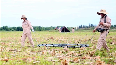 La Belgique soutient le Vietnam dans la gestion des conséquences de l'Agent Orange.