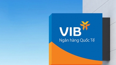 VIB прагне отримати прибуток у розмірі 11 550 мільярдів донгів та виплати дивідендів майже 19%.