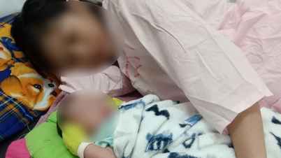 한밤중에 양수가 터지자 하숙집 사람들은 모두 '마지못해' 산파가 되어 산모와 아이 모두를 구해냈다.