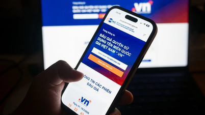 Et domenenavn på to tegn på andre nivå under .vn ble auksjonert bort for opptil 217 millioner VND.