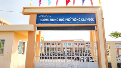 Ca Mau keurt een bedrag van meer dan 109,8 miljard VND goed voor de bouw van klaslokalen en multifunctionele gebouwen.