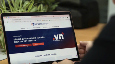 Egy ritka domain név 217 millió vietnami dongért kelt el az aukció első napján.