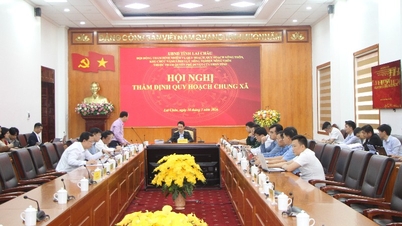 Muong Kim, Than Uyen, Nam Ma ve Tua Sin Chai beldelerinin genel planlamasını gözden geçirmek üzere bir konferans düzenlendi.