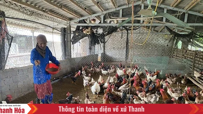 Thanh Ky lehetőségeket nyit az emberek jövedelmének növelésére.