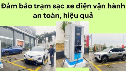 Het waarborgen van de veilige en efficiënte werking van laadstations voor elektrische voertuigen.