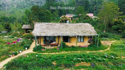 Located 250km from Hanoi, this lush green village attracts visitors who travel far to pick their own vegetables and cook their own meals.