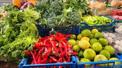 China abre su mercado de 1.400 millones de personas a los productos agrícolas africanos.