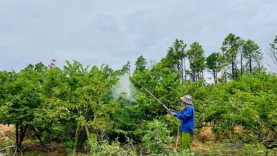 প্রধান কৃষি পণ্যগুলোর প্রতিযোগিতামূলক সক্ষমতা বৃদ্ধি করা।