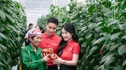 Agribank dan Revolusi ESG - Bagian 2: "Memanfaatkan" Pengembangan Pertanian Rendah Emisi dan Energi Bersih