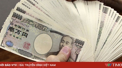 50 miljarder yen i offentligt utvecklingsbistånd hjälper Vietnam med dess gröna omställning.