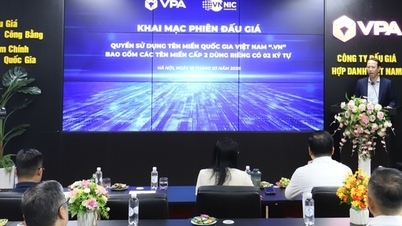 Se deschide licitația pentru domeniile „.vn” cu 2 caractere: Ofertele câștigătoare cresc cu până la 260%