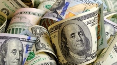 Cotação do dólar americano hoje (19 de março): O dólar se valoriza, já que o Fed mantém as taxas de juros inalteradas.