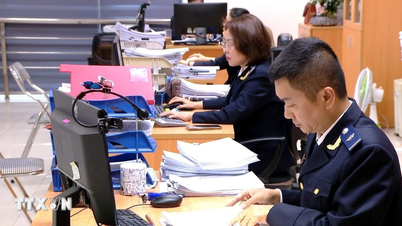The Customs Department responds regarding the operation of the information technology system.