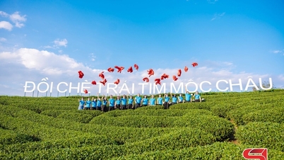 Nghệ sĩ nhiếp ảnh quảng bá vẻ đẹp Mộc Châu