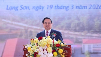 وزیر اعظم: ہر اسکول کو "خواندگی کے بیج بونے، علم کی پرورش کرنے، خوابوں کو روشن کرنے اور خواہشات کو پورا کرنے کی جگہ" بننے دیں۔