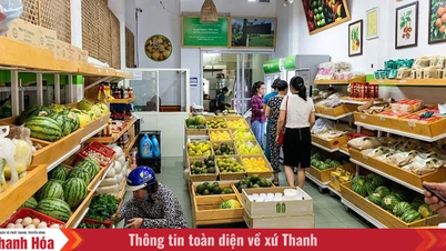 Los comercios minoristas se están adaptando a las tendencias de consumo sostenible.