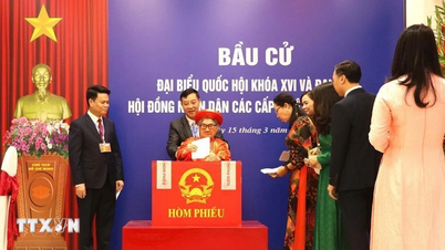 Anuncio de los resultados de las elecciones para representantes al Consejo Popular de la ciudad de Hai Phong para el período 2026-2031.