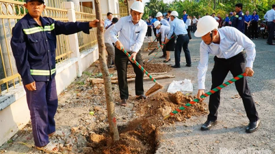 Dao Thanh Ward inaugurará el "Festival de Plantación de Árboles en Eterna Gratitud al Tío Ho" en 2026.