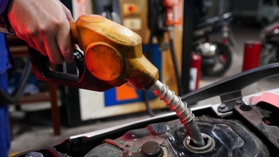 Importen av petroleumprodukter ökade med mer än 40 % under första halvan av mars.