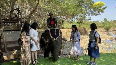 Dak Lak estimula o turismo através do seu património cultural.
