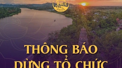 The race in Hue has been cancelled, and registration fees have not been refunded: What does the organizer say?