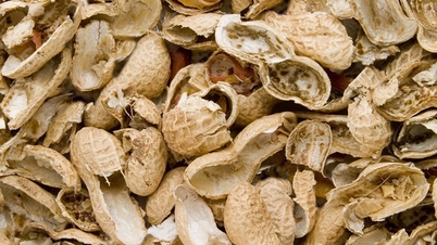 Transforming peanut shells into a super lightweight, super durable 'miracle material'.